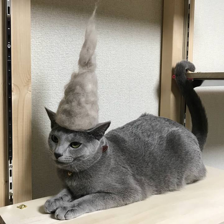 49f85767 7464 4bd5 9cc1 14e78e5d4109 1525790990442