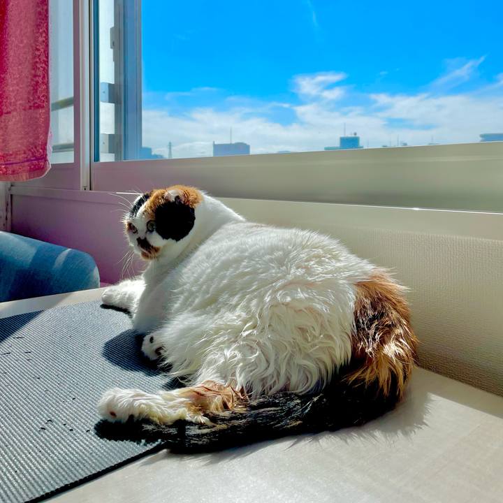 49f85cf3 6251 4056 8363 5c2e1af62836 1663028154326