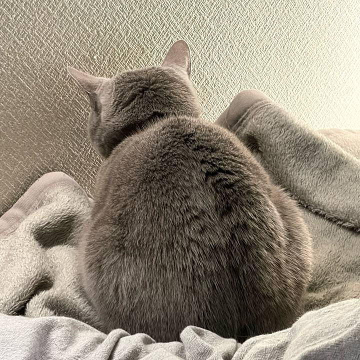 49f87c02 27d5 4f67 87de 8d5a5d0cd809 1764570311919