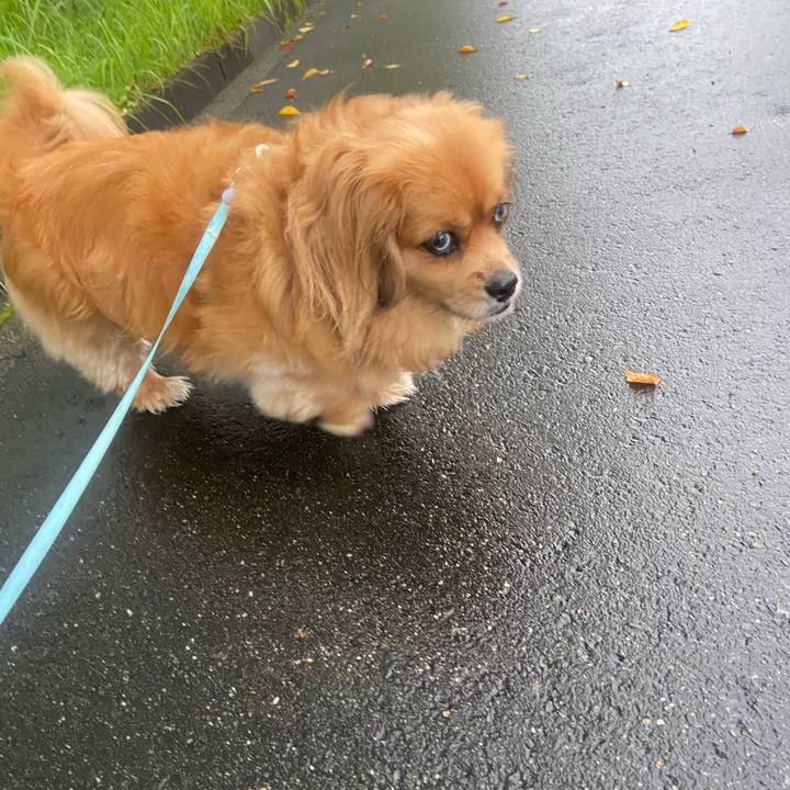 49f89a19 83a1 4294 974d 10af45640f96 1595627281980