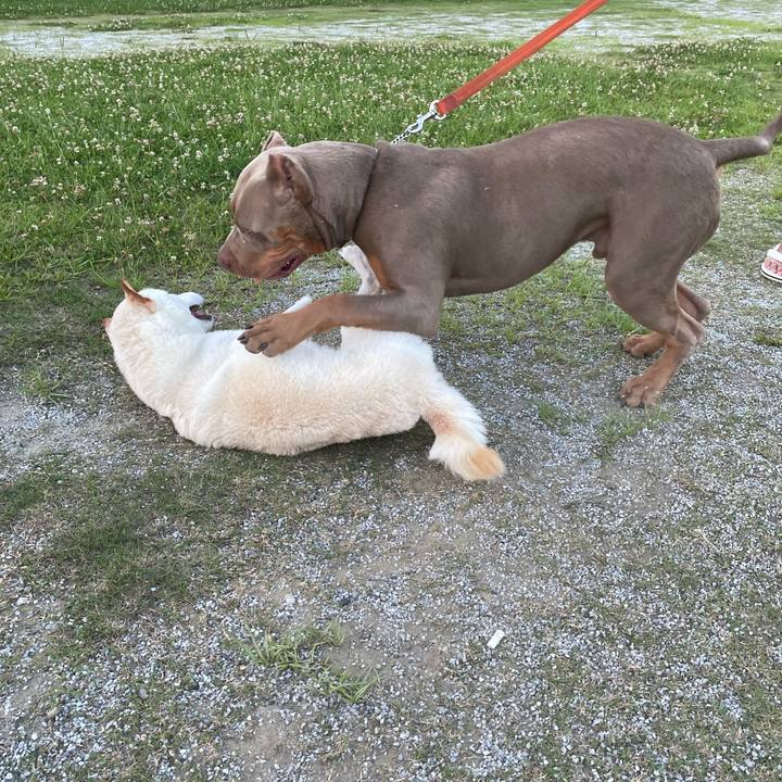 49f8cabc 10f5 4c47 9f3e d86965564e41 1656595022651