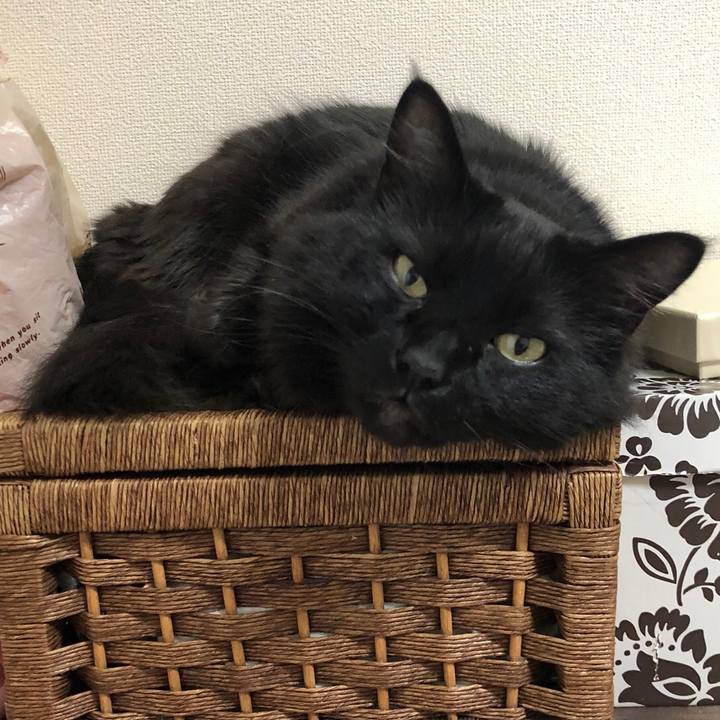 49f8d395 ce9a 4961 8110 16d54d139cf2 1520065516550