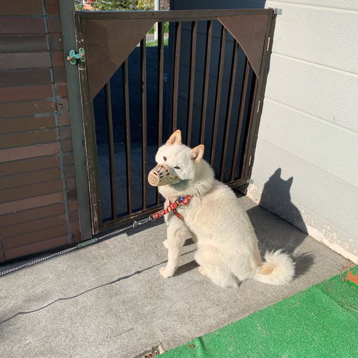 49f91956 5df5 41f2 8335 cbcc5218c89b 1557734660110