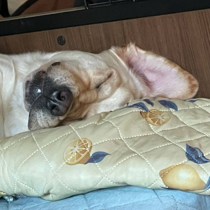 49f932a4 a0bd 4c09 ada2 b968b803380a 1693884729230