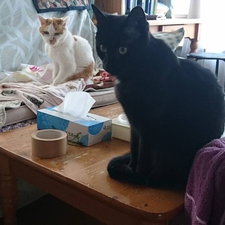 49f9613f 4b37 4793 88d0 f3a217c26f36 1525416073191