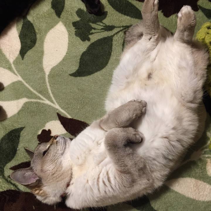 49f9618e 010f 4d6a b617 0d12e37e6ea2 1587293760691