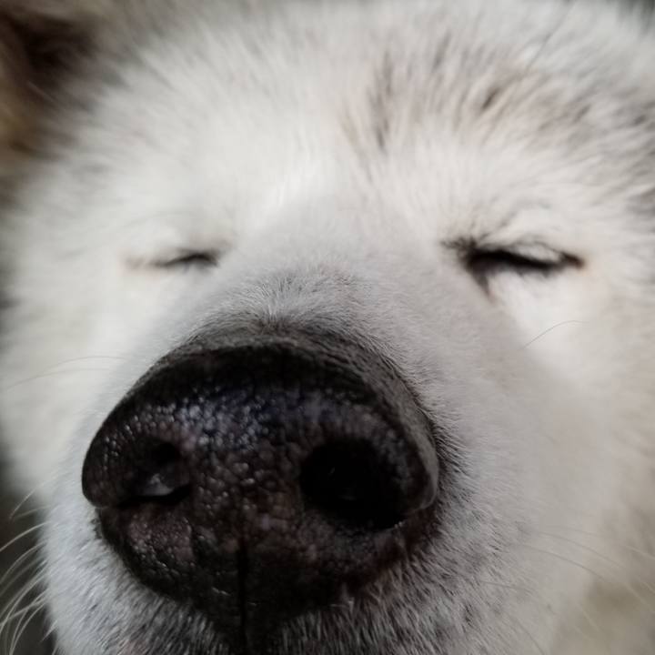49f98e1e 0c1a 4c0c ad1a a7514dd4af89 1609143122367