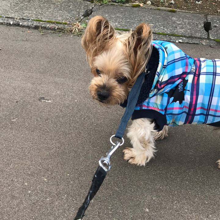 49f98fac 2819 4fe5 afb2 1c9aaa215c08 1665741174177