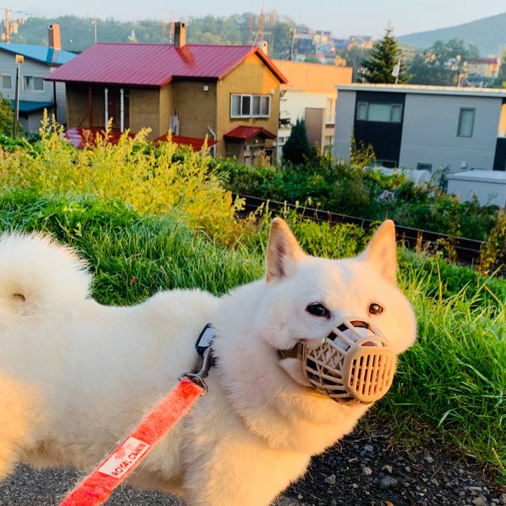 49f9b23d 792c 436e 9f7f cafc782ce617 1600896673881