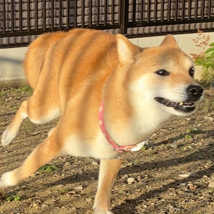 49f9d9d0 b94b 4048 b505 521d2e8bad13 1670022333370