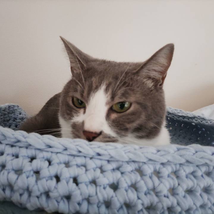 49fa0cbe d660 498f a69e 375dafc6170f 1665975798690