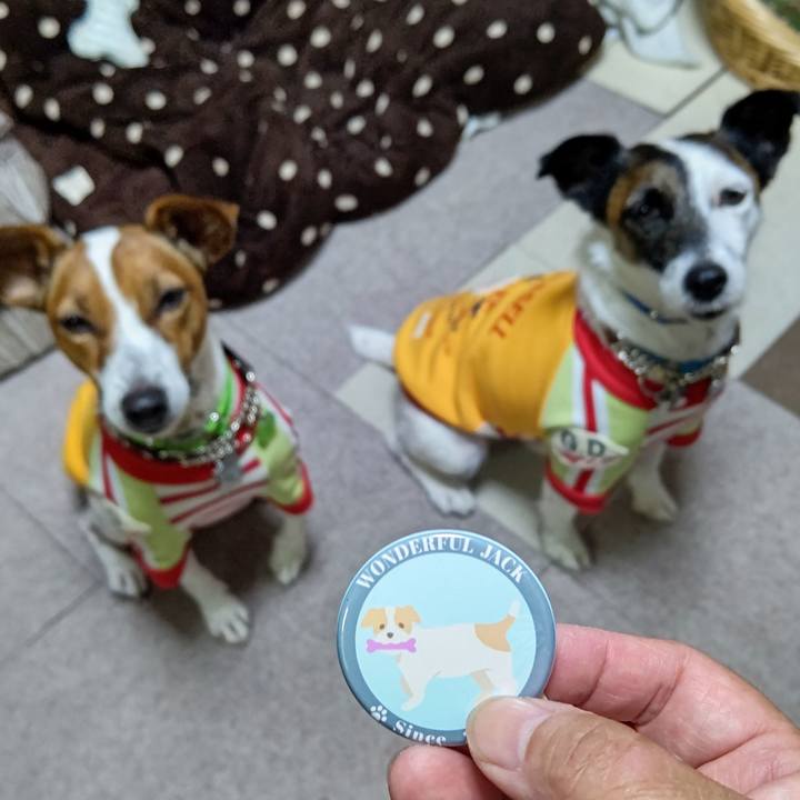 49fa2182 833e 4a0a b1b0 acadf82a414b 1635078186884