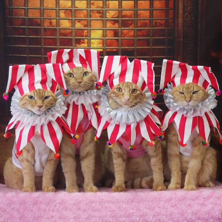 49fa3685 477d 4fcc 85c1 e59b72c51e98 1697152745735