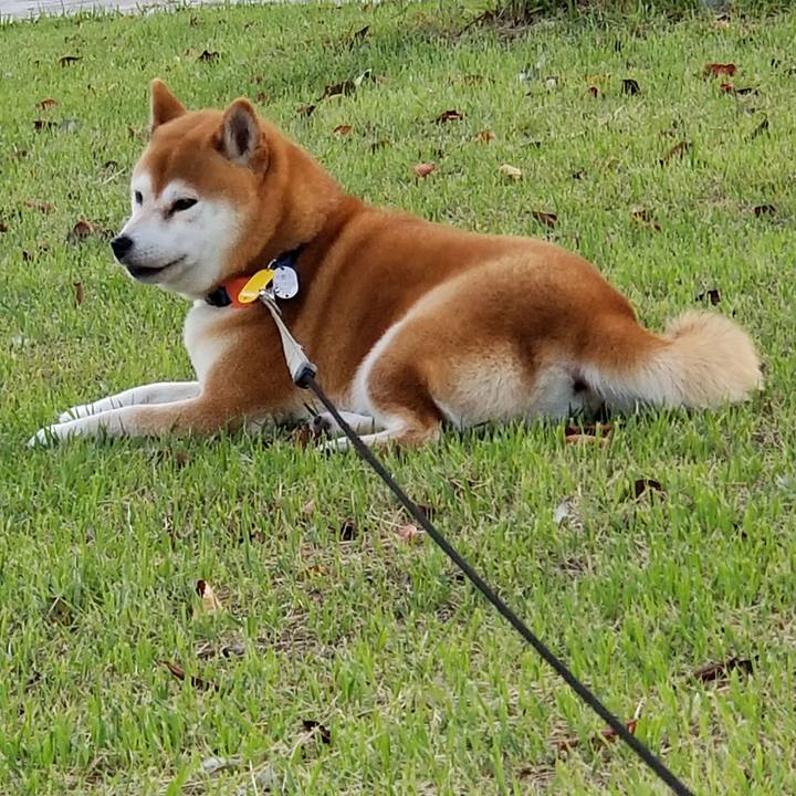 49fa5c26 3c31 4c9d b320 b220d787cb59 1538725003308