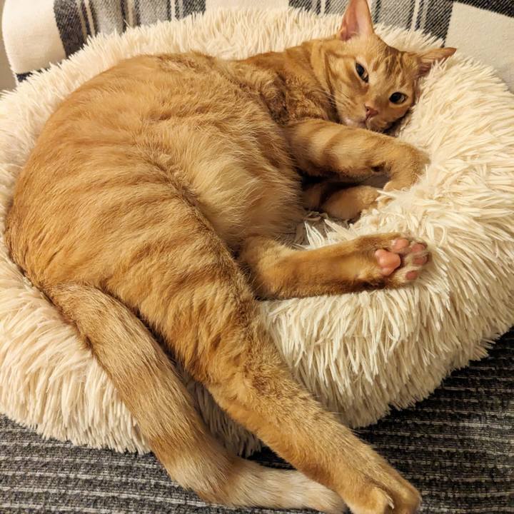 49fa94c6 1af4 4b8e 9396 13738f745ef2 1688079672136