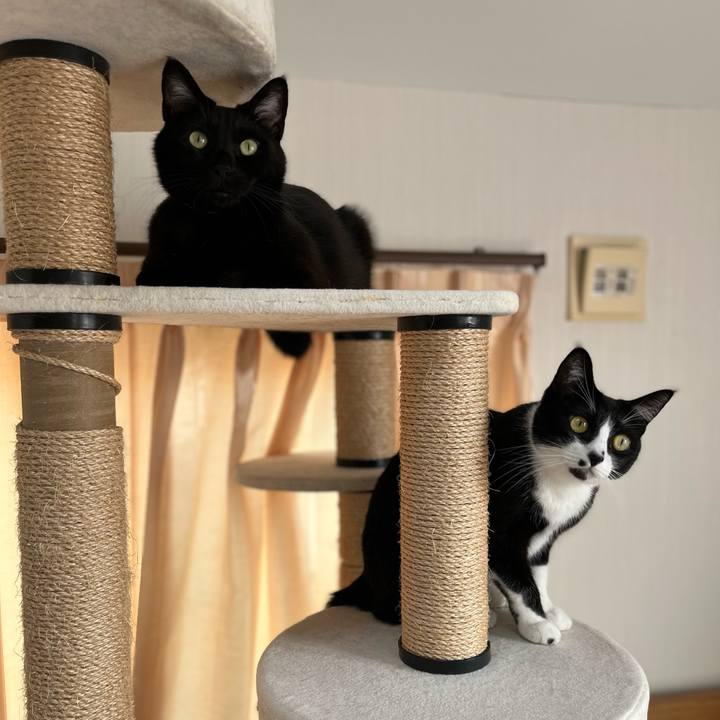 49fac0d8 3f10 42ae a177 5bd8d17832f0 1675811557505