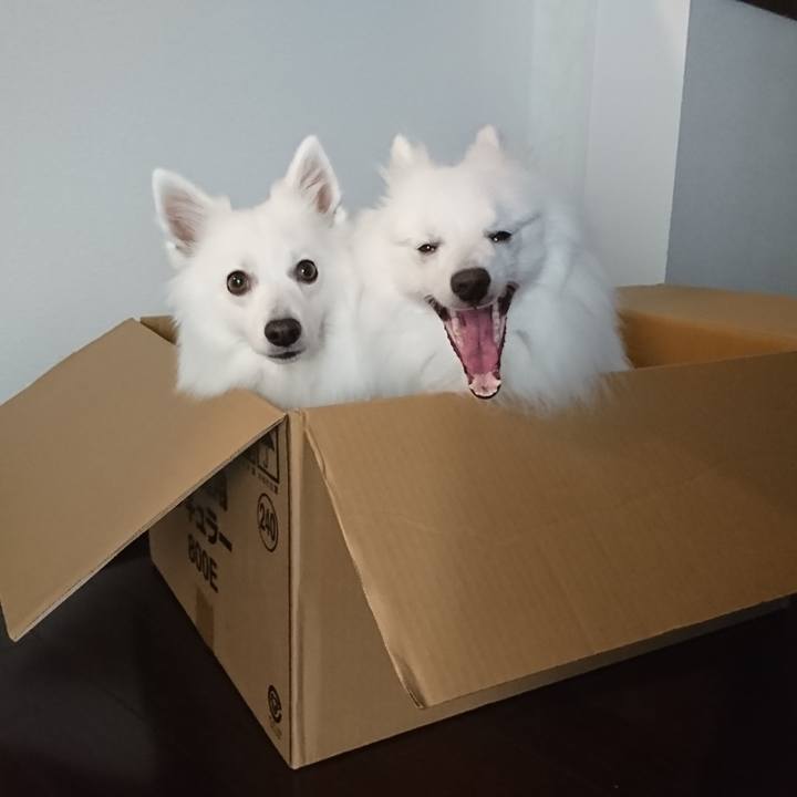 49faffbd 508d 4e79 b35c 32a732483a00 1580448221187