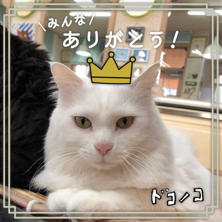 49fb07d2 4f3e 4a6e 979c 9be581f72485 1622965508592