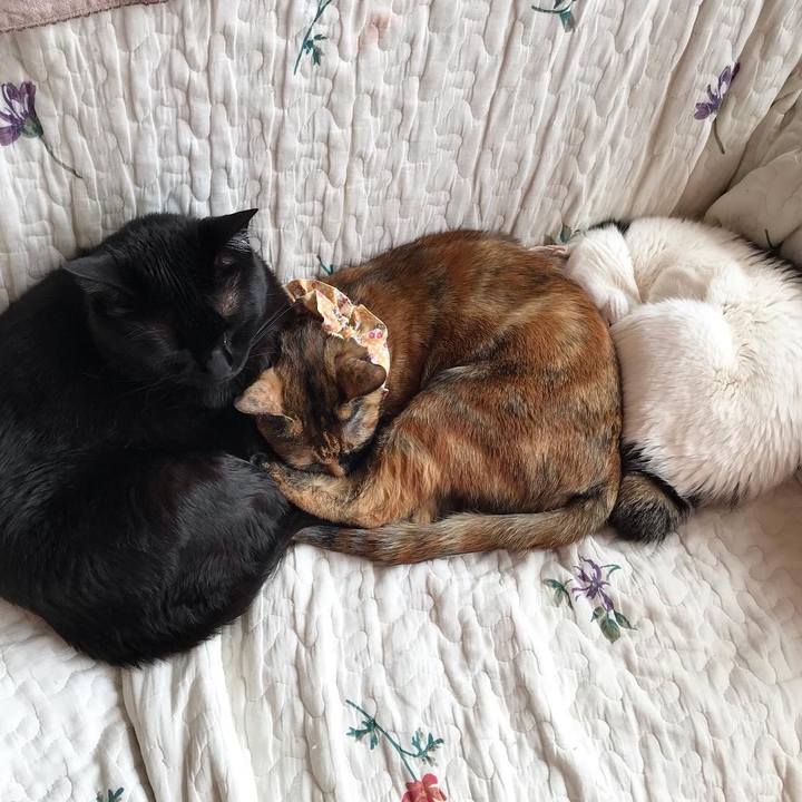 49fb4ac9 074f 476e adc3 7d09fee5f0ac 1649419911603