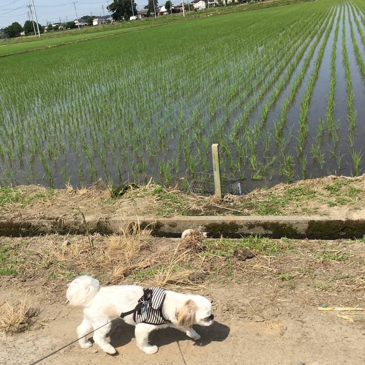 49fb50a5 9e4b 49d8 a175 81d1ba5a51b3 1591494153873