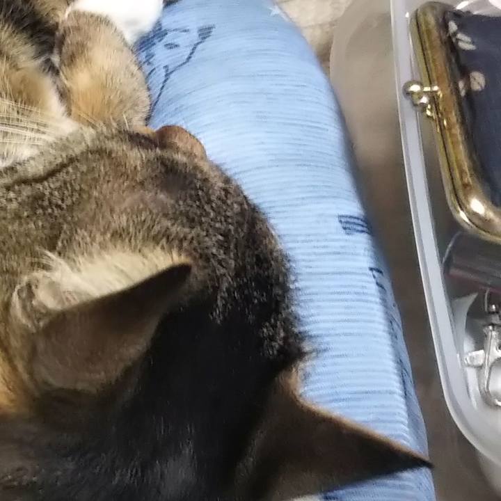 49fba402 e0ee 4795 8970 f0d38d6bbc76 1628048697301