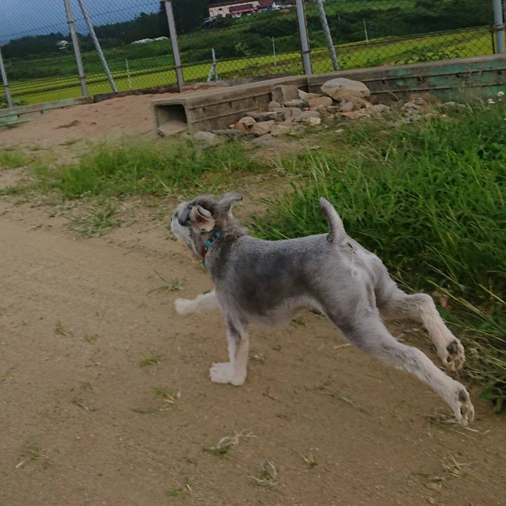 49fbaea0 c30f 481e 8dab 7a2ff19c10c8 1630365875763