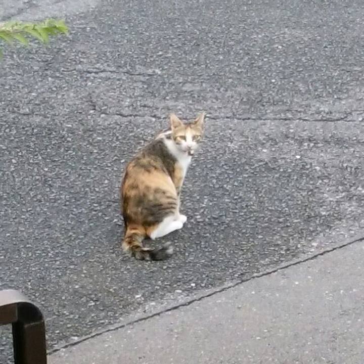 49fbcf66 28ca 4d00 8ccc 23dbd4897831 1563178066061