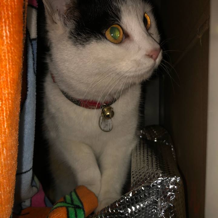 49fc04f9 66e5 41de 88a0 ef2e0b521270 1611267525283