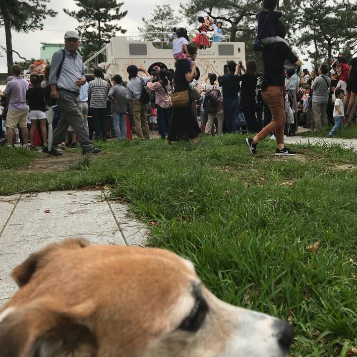 49fc0624 b886 4fbb 99ad 54fb91b3f7bc 1536997848810