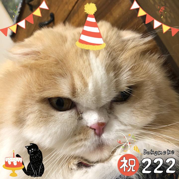 49fc0e5c 4ed8 406e a57b 0ace222e9345 1645524697719