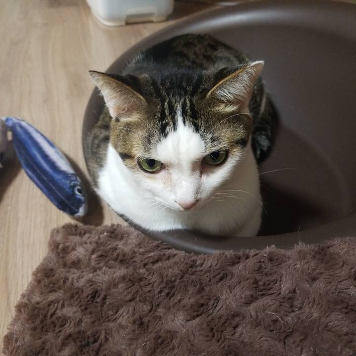 49fc374d afac 416c a3fe 5735a2d4a188 1580765319760