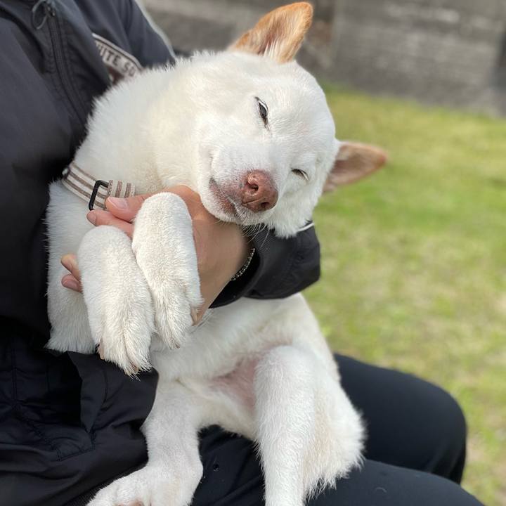 49fc5b8e d79b 4532 864d 40cbab80bc47 1648538154983