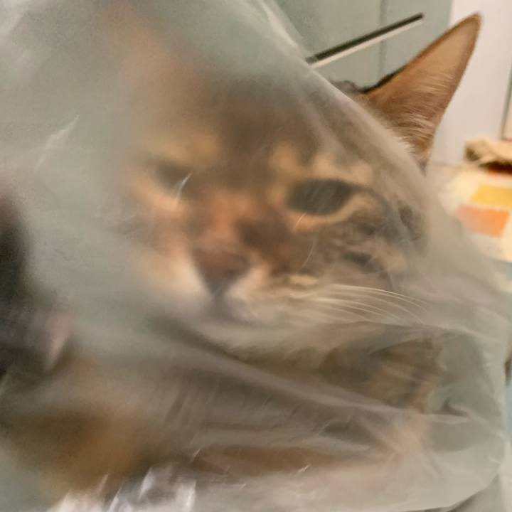 49fc62bf 7065 4788 8020 121c1ae97355 1619312026980