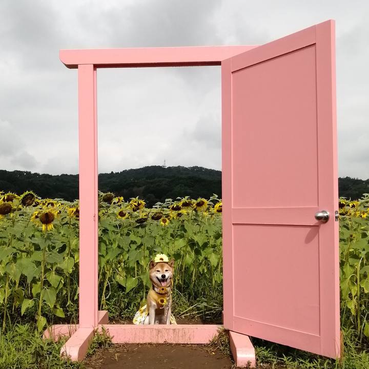 49fc75ef b1e8 48e5 be57 df2688e149ae 1692343182650