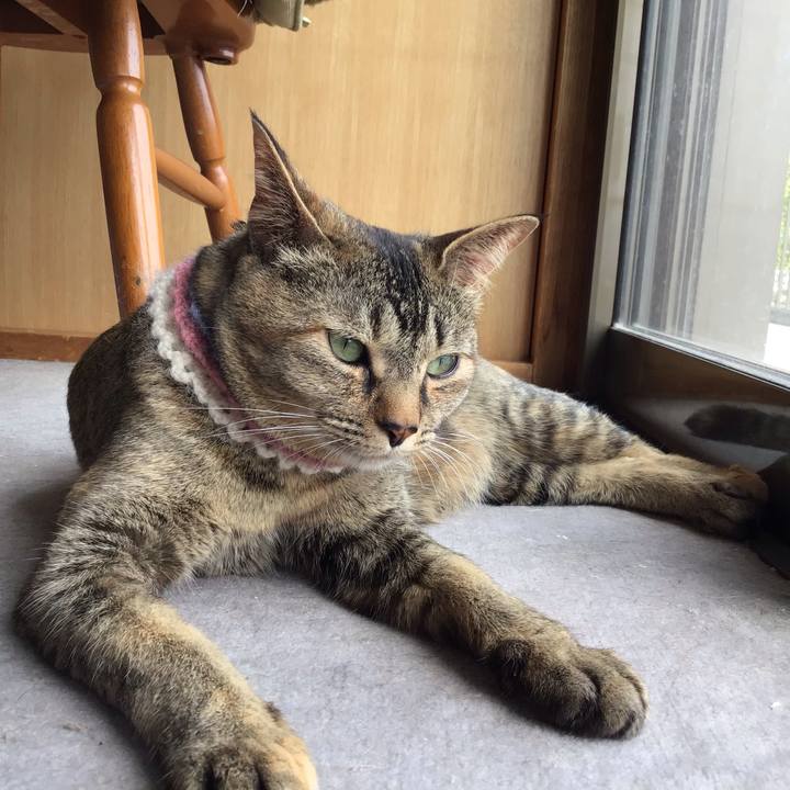 49fc956c 832f 4464 ad87 5d5c7655a6b2 1620967271251