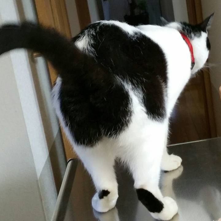 49fcc371 9ec6 4e21 ad70 51bd2d30ba96 1538358608625