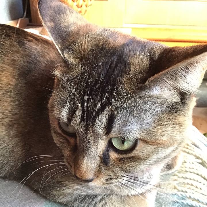 49fcc3c9 50ef 4bbf aa81 e659a828a9d5 1611212703438