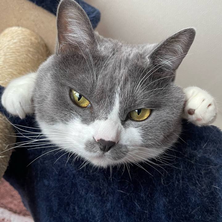 49fce5f0 cdb2 45c6 aa87 691dbd24c596 1660202297165