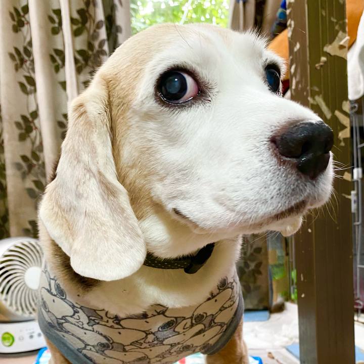 49fcff47 4ec2 4696 8a21 5eaa71bec4e7 1664422345547