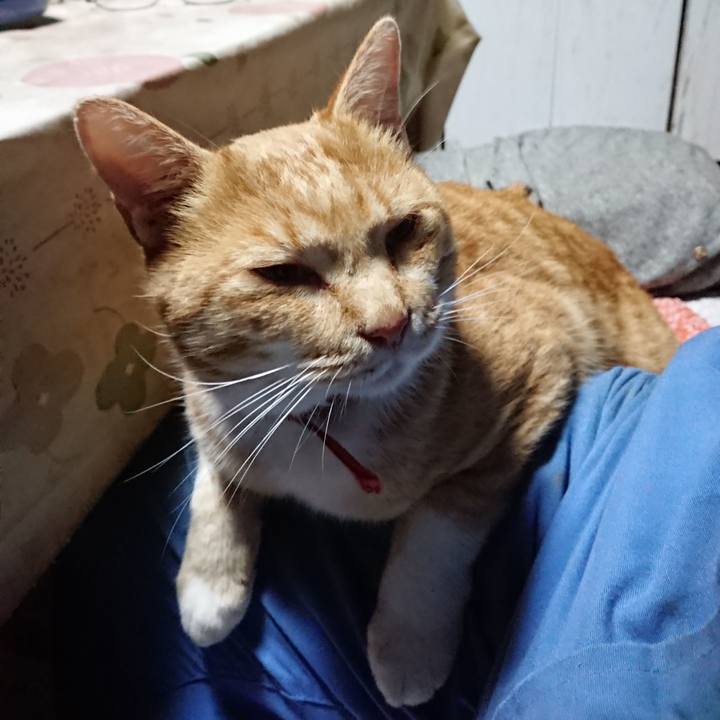 49fd1672 eeb5 4424 8d99 f651c5e9a515 1573891284805