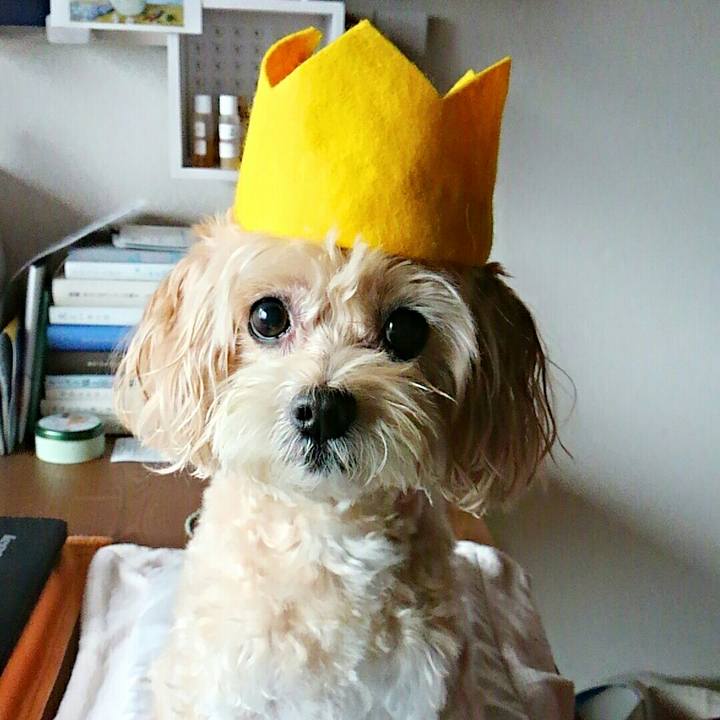 49fd16c7 d630 49be 81f0 a1b8f4b7cbec 1507944207563