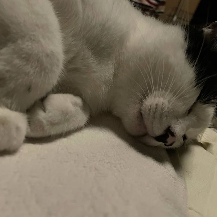 49fd3894 71c6 4578 ad4a 2de521d04d1c 1625328475836