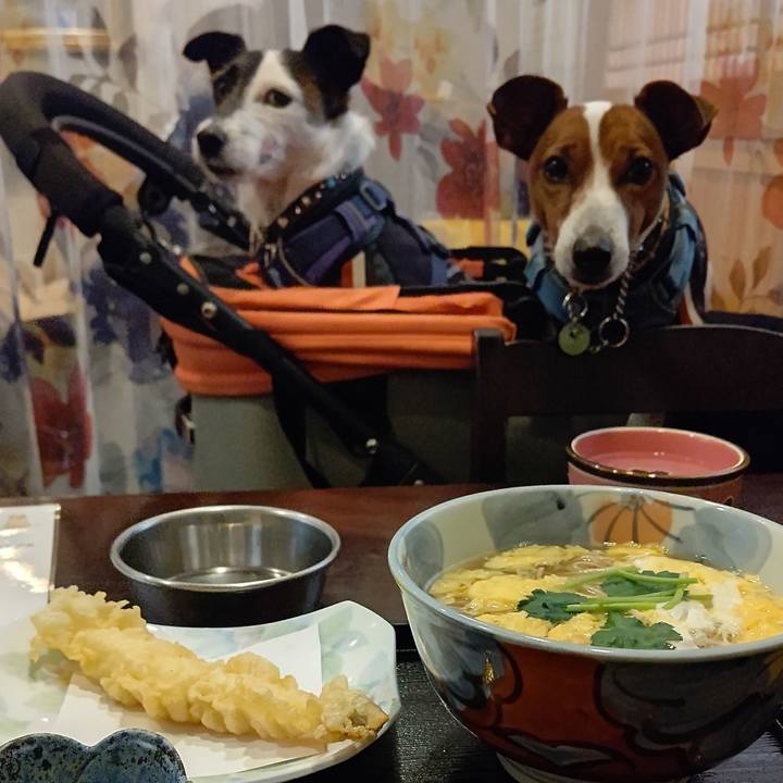 49fd76f1 1559 4b6b 80d7 c40b8e0fc09b 1671357230911