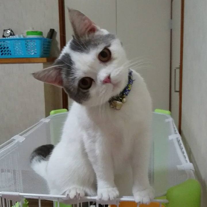 49fd78bd c561 40f1 87ba 7818cbaf194c 1547720877741