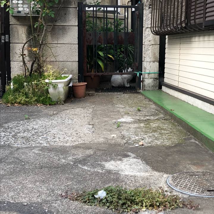 49fd8b82 60d0 4b83 a4c7 2be615492daf 1527860017082