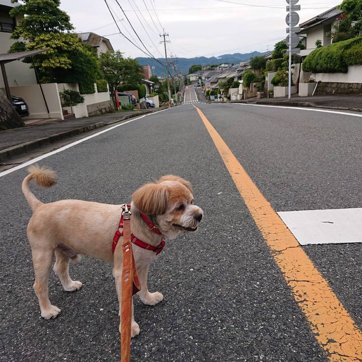 49fdc962 423d 49e0 885c fc5d36f405d6 1593296748571