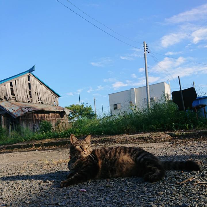 49fdecc3 73e4 4c8a b183 4e82647364e3 1662794812055