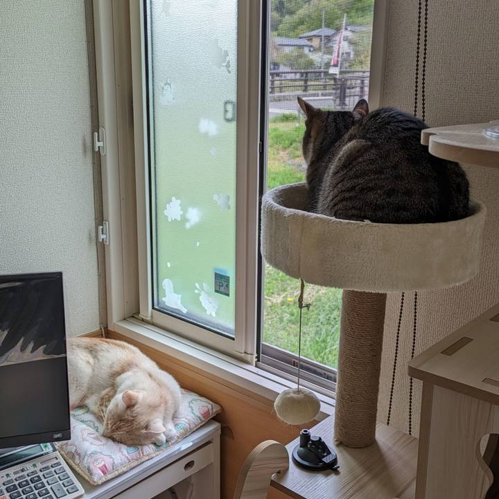 49fe2111 fe7c 4fd4 af45 aea8c6ead2ab 1713833156025