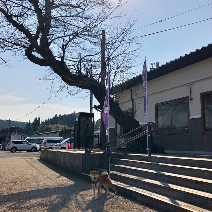 49fe8643 6c9e 4fe2 a81a 0bcf21846f3b 1552640297942