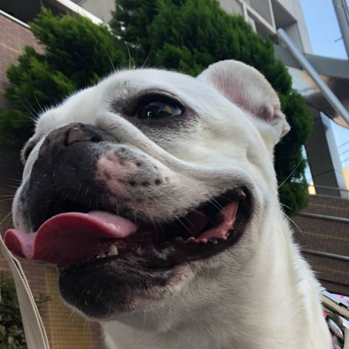 49fe92d2 9176 4157 8dc5 4e5f4a061eff 1558756127301